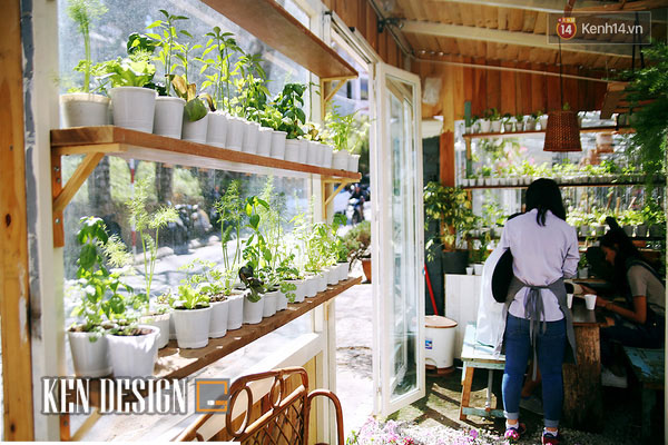 thiết kế quán cafe